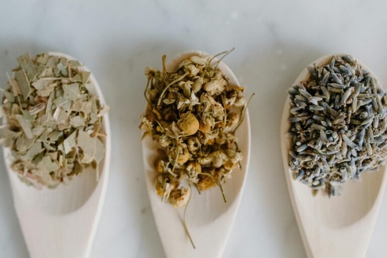 Traditional Medicine: Restoring Balance with Time-Honored Healing Practices