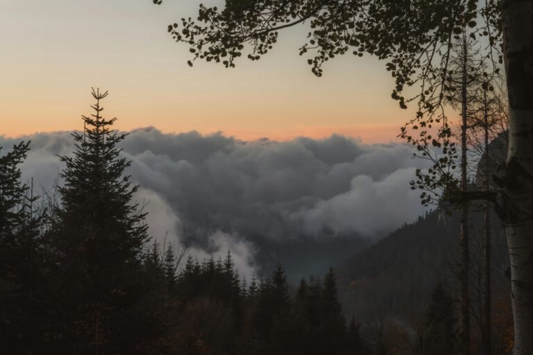 Breathing Methods for Anxiety: Techniques to Calm the Stress Response and Promote Relaxation