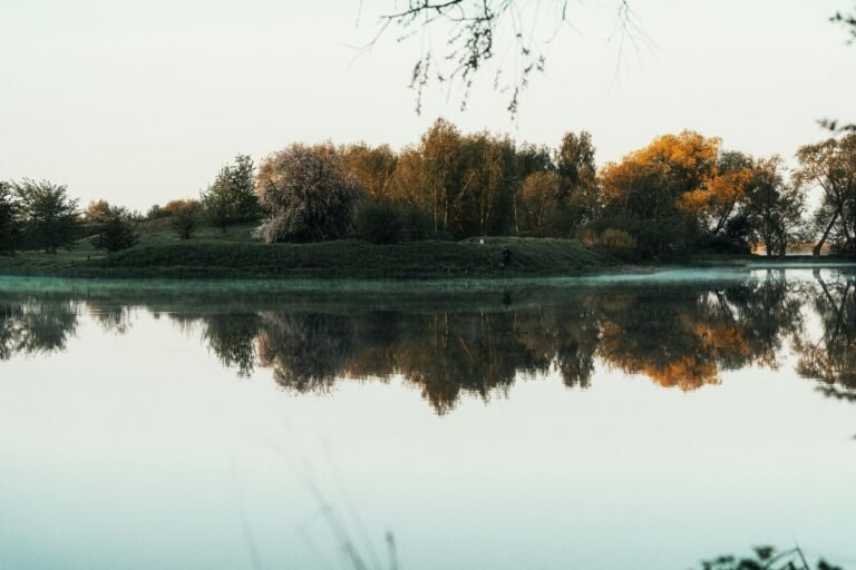 Breathing Exercises for Nervousness: Techniques to Calm Anxiety and Boost Confidence
