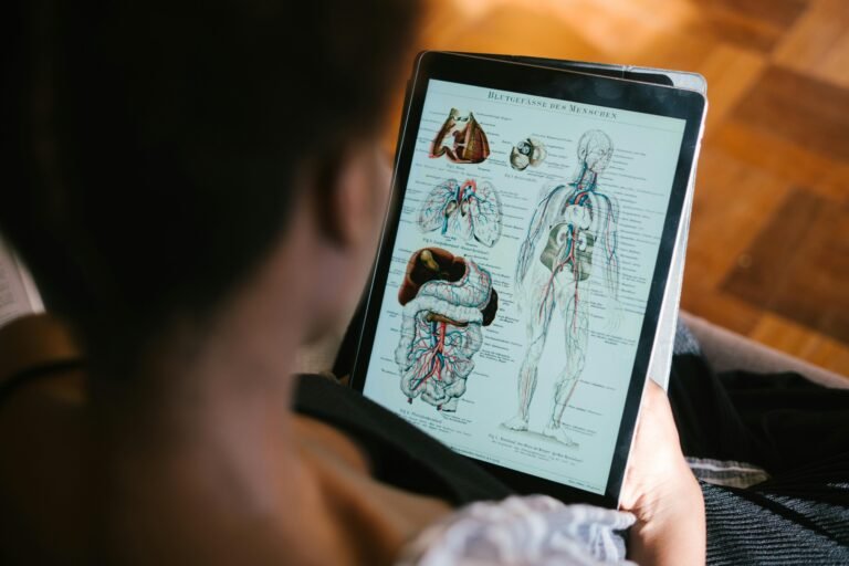 Vagus Nerve: Functions, Importance & Role in Health